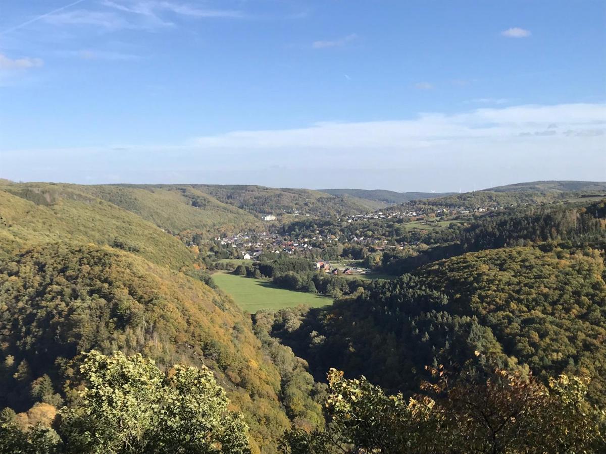 Villa Holgenbach - Penthouse- Und Ferienwohnung Im Nationalpark Eifel Schleiden Exterior photo